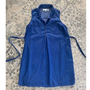 Blue Chambray Maternity Dress